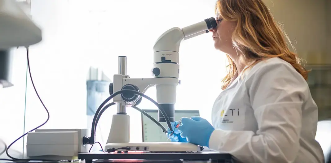 El proyecto Mugitun analiza los otolitos del atún rojo para descifrar sus rutas migratorias